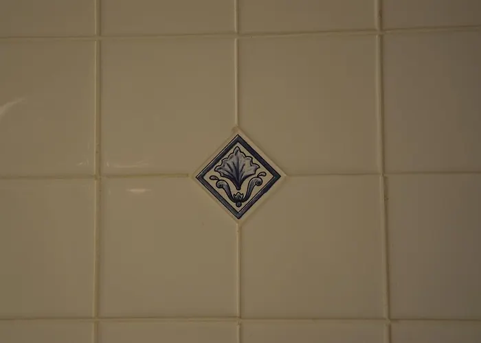 Apartamento Dorso Duro *