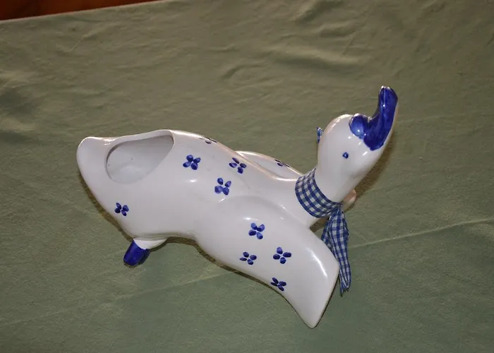 Dorso Duro