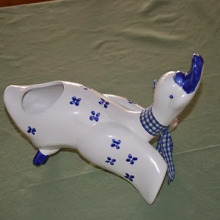 Dorso Duro